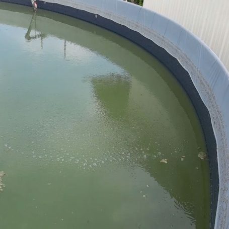 Début du traitement Nanobulles